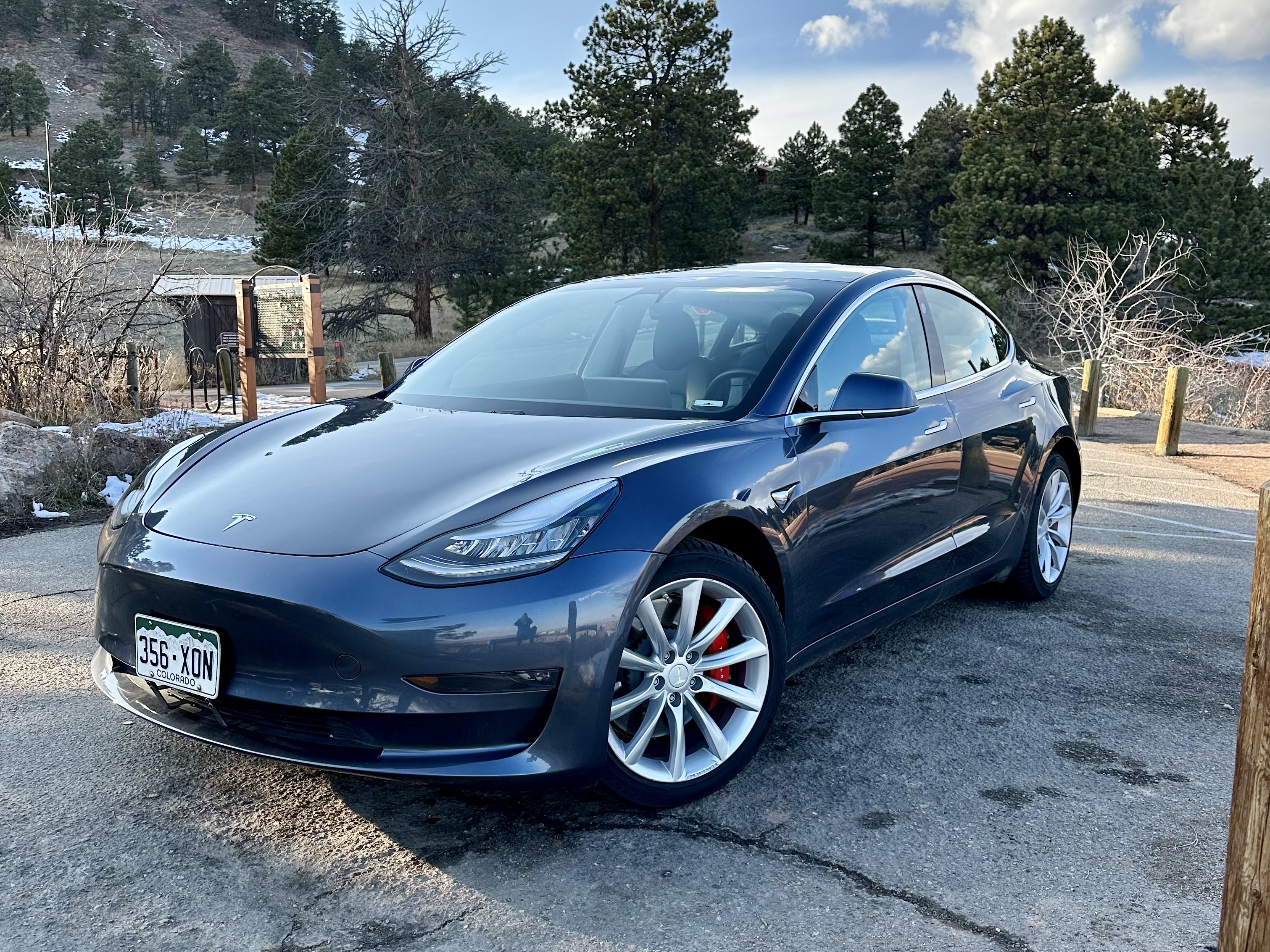 A Tesla Model 3 is parked in a wooded area.