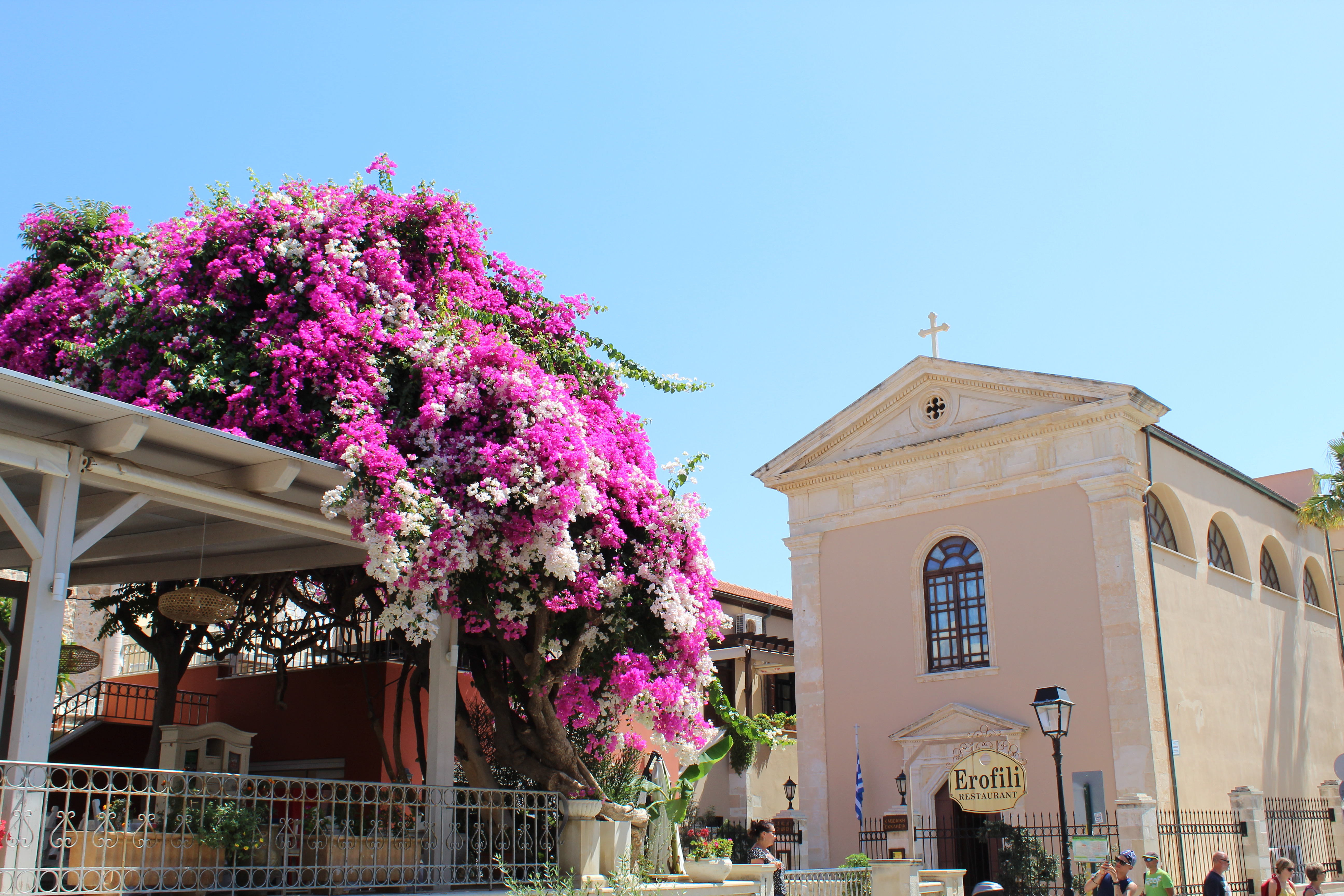 Flowers at a restaurant in Greece