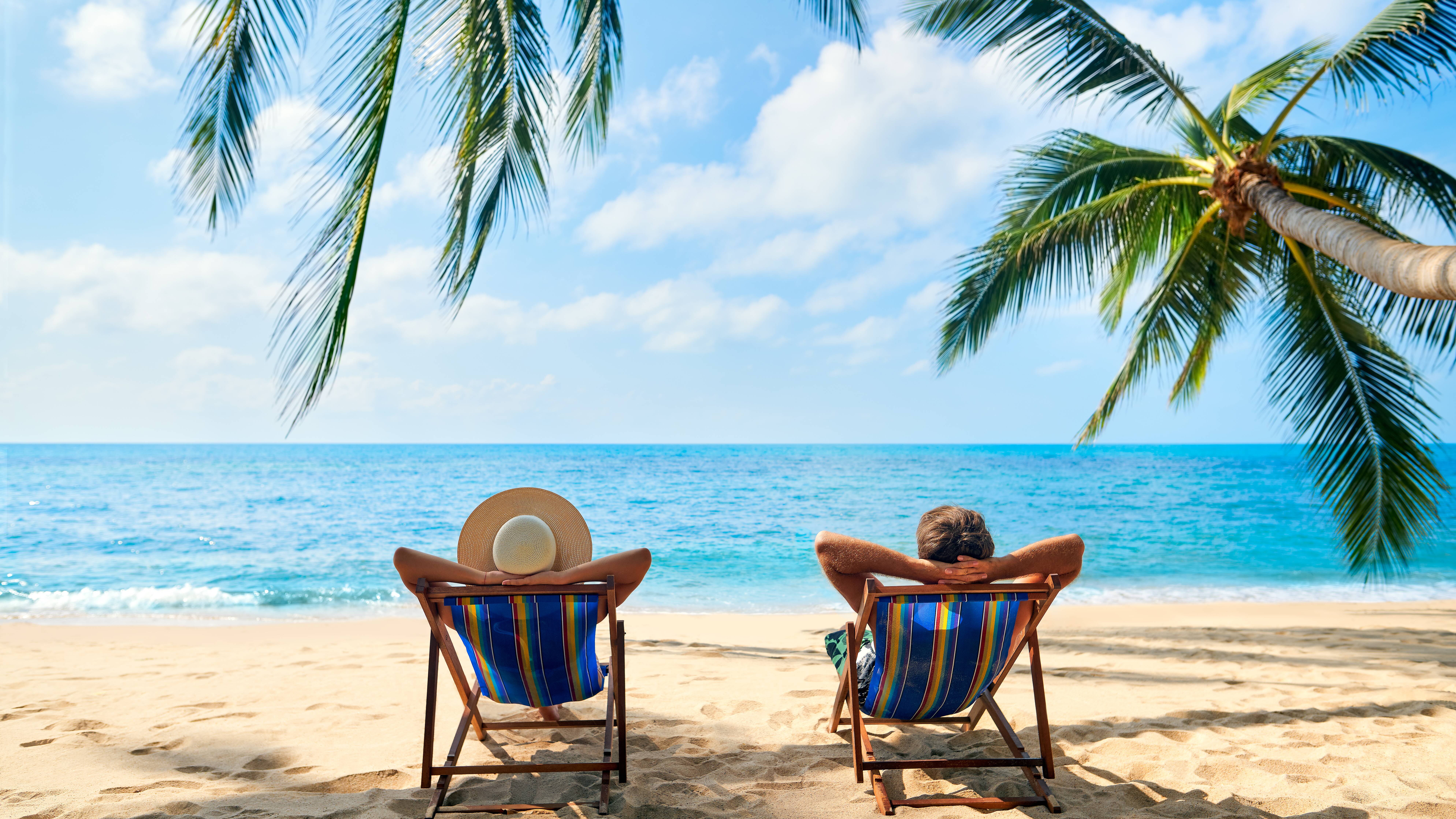 Lazy Investors Under Palm Trees on the Beach